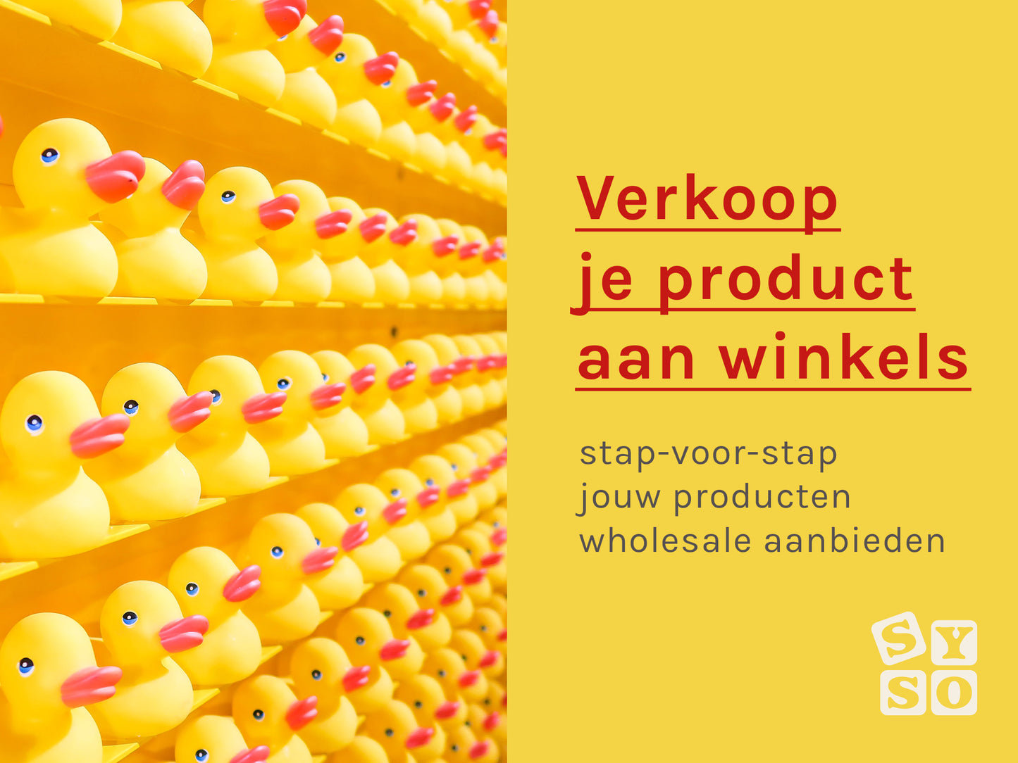 Verkoop je producten aan winkels - online training - Sell your stuff online
