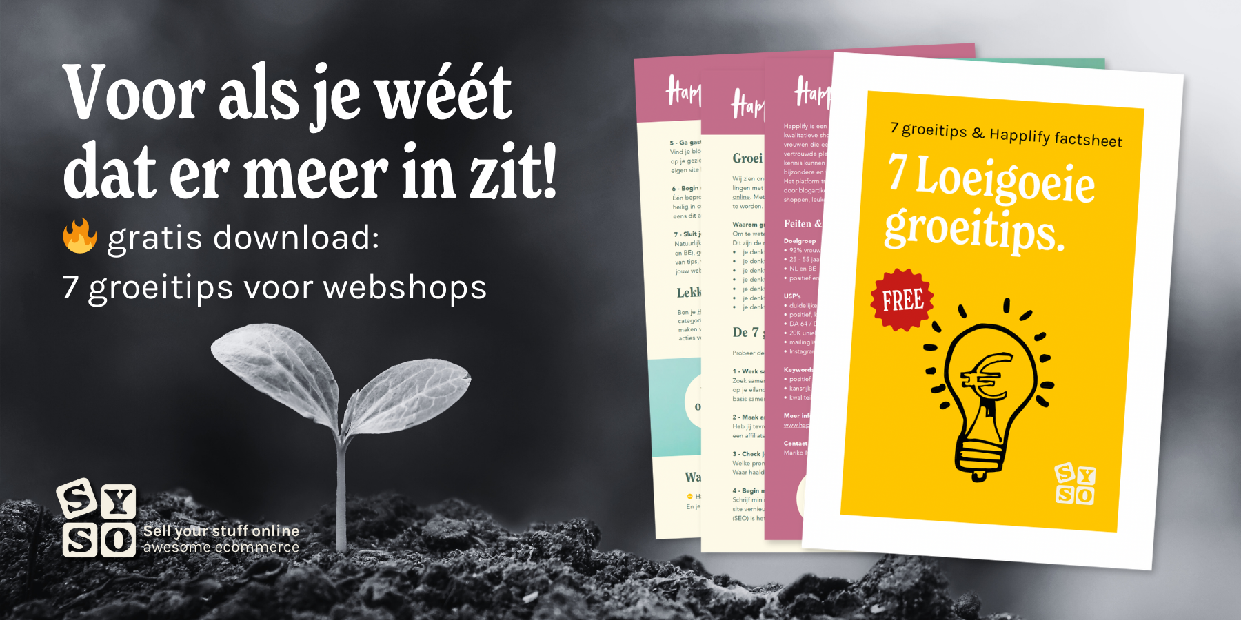 7 Onmisbare groeitips voor webshop succes (+ gratis download)