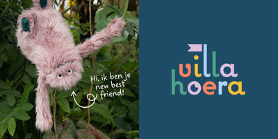 Casestudy: Villa Hoera rebranding + webshop verhuizing