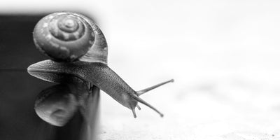 Help! Mijn webshop draait, maar groeit niet: wat er écht aan de hand is